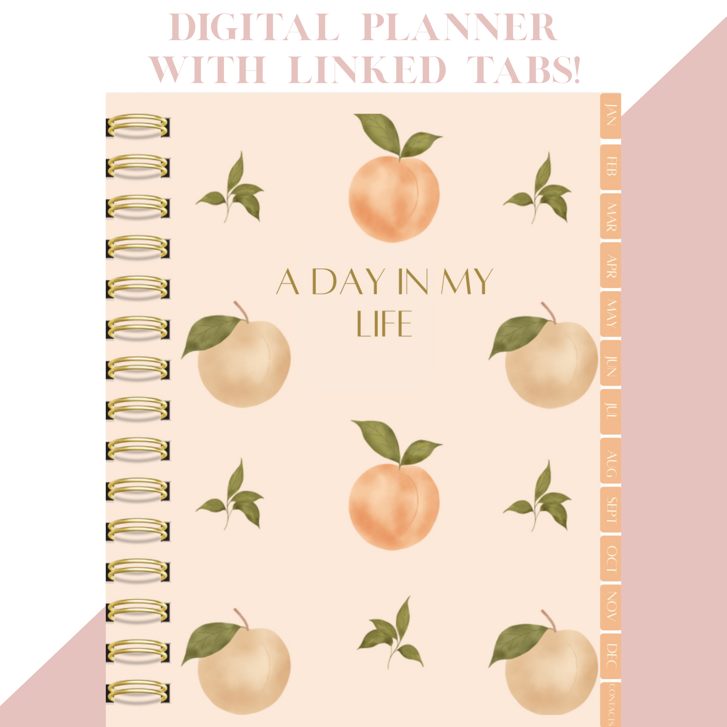 Digital Planner, Monthly, weekly organization with contact page, Peach Digital Planner
