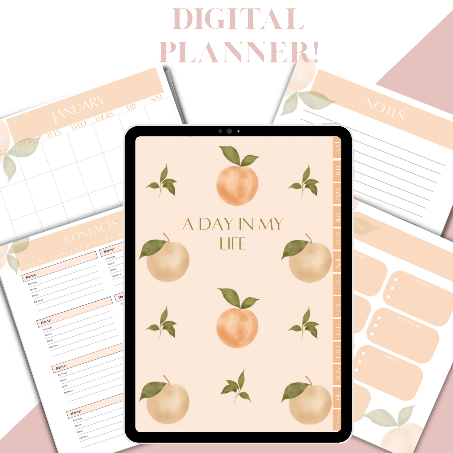 Digital Planner, Monthly, weekly organization with contact page, Peach Digital Planner